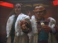 Das Haus des Quark
