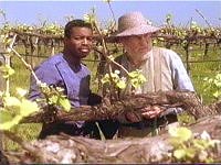 Geordi besucht seinen alten Freund Picard.